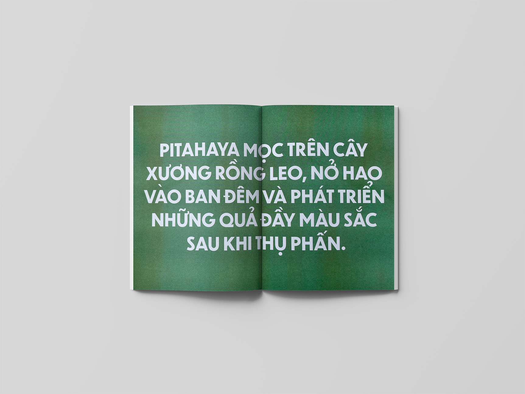Mockup copy 2